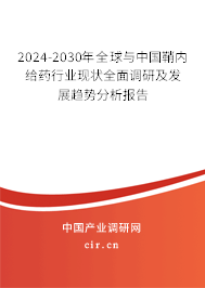 2024-2030年全球與中國(guó)鞘內(nèi)給藥行業(yè)現(xiàn)狀全面調(diào)研及發(fā)展趨勢(shì)分析報(bào)告 2024-2030年全球與中國(guó)鞘內(nèi)給藥行業(yè)現(xiàn)狀全面調(diào)研及發(fā)展趨勢(shì)分析報(bào)告