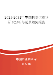 2025-2031年中國(guó)探傷儀市場(chǎng)研究分析與前景趨勢(shì)報(bào)告