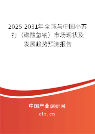 2025-2031年全球與中國小蘇打(碳酸氫鈉)市場現(xiàn)狀及發(fā)展趨勢預(yù)測報(bào)告 2025-2031年全球與中國小蘇打(碳酸氫鈉)市場現(xiàn)狀及發(fā)展趨勢預(yù)測報(bào)告