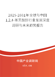 2025-2031年全球與中國1,2,4-苯三酸酐行業(yè)發(fā)展深度調(diào)研與未來趨勢(shì)報(bào)告