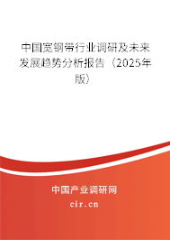 中國寬鋼帶行業(yè)調(diào)研及未來發(fā)展趨勢分析報告（2025年版）