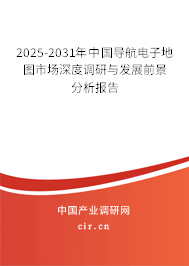 2025-2031年中國導(dǎo)航電子地圖市場深度調(diào)研與發(fā)展前景分析報告