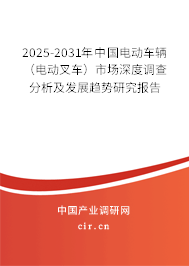 2025-2031年中國電動車輛（電動叉車）市場深度調(diào)查分析及發(fā)展趨勢研究報告