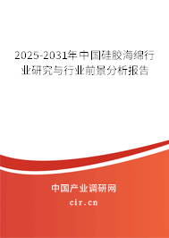 2025-2031年中國硅膠海綿行業(yè)研究與行業(yè)前景分析報(bào)告