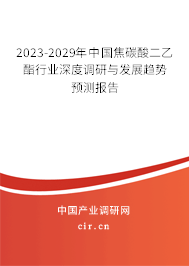2023-2029年中國(guó)焦碳酸二乙酯行業(yè)深度調(diào)研與發(fā)展趨勢(shì)預(yù)測(cè)報(bào)告