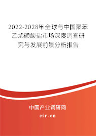 2022-2028年全球與中國聚苯乙烯磺酸鹽市場深度調(diào)查研究與發(fā)展前景分析報(bào)告