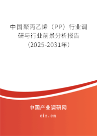 中國聚丙乙烯（PP）行業(yè)調(diào)研與行業(yè)前景分析報告（2025-2031年）