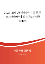 2025-2031年全球與中國藍牙音箱電池行業(yè)現(xiàn)狀及趨勢預測報告
