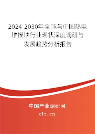 2024-2030年全球與中國熱電堆模塊行業(yè)現(xiàn)狀深度調(diào)研與發(fā)展趨勢分析報告