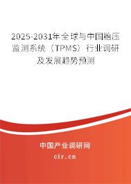 2025-2031年全球與中國(guó)胎壓監(jiān)測(cè)系統(tǒng)（TPMS）行業(yè)調(diào)研及發(fā)展趨勢(shì)預(yù)測(cè)