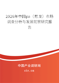 2026年中國pa(尼龍)市場調(diào)查分析與發(fā)展前景研究報告 2026年中國pa(尼龍)市場調(diào)查分析與發(fā)展前景研究報告