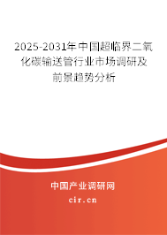 2025-2031年中國超臨界二氧化碳輸送管行業(yè)市場(chǎng)調(diào)研及前景趨勢(shì)分析