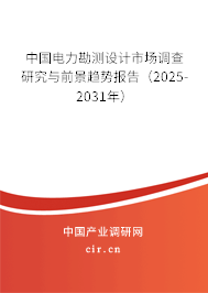 中國電力勘測設(shè)計(jì)市場調(diào)查研究與前景趨勢報(bào)告（2025-2031年）