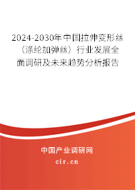 2024-2030年中國(guó)拉伸變形絲（滌綸加彈絲）行業(yè)發(fā)展全面調(diào)研及未來(lái)趨勢(shì)分析報(bào)告