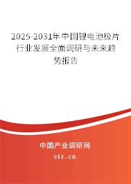 2025-2031年中國(guó)鋰電池極片行業(yè)發(fā)展全面調(diào)研與未來(lái)趨勢(shì)報(bào)告 2025-2031年中國(guó)鋰電池極片行業(yè)發(fā)展全面調(diào)研與未來(lái)趨勢(shì)報(bào)告
