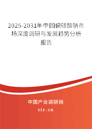 2025-2031年中國偏硅酸鈉市場深度調(diào)研與發(fā)展趨勢分析報(bào)告