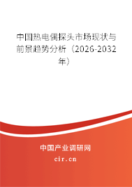 中國(guó)熱電偶探頭市場(chǎng)現(xiàn)狀與前景趨勢(shì)分析(2025-2031年) 中國(guó)熱電偶探頭市場(chǎng)現(xiàn)狀與前景趨勢(shì)分析(2025-2031年)