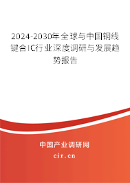 2024-2030年全球與中國(guó)銅線鍵合IC行業(yè)深度調(diào)研與發(fā)展趨勢(shì)報(bào)告