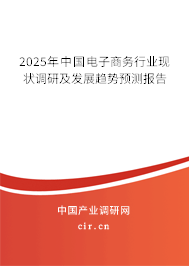2025年中國電子商務(wù)行業(yè)現(xiàn)狀調(diào)研及發(fā)展趨勢預(yù)測報(bào)告 2025年中國電子商務(wù)行業(yè)現(xiàn)狀調(diào)研及發(fā)展趨勢預(yù)測報(bào)告