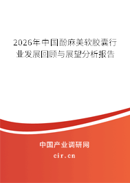 2026年中國(guó)酚麻美軟膠囊行業(yè)發(fā)展回顧與展望分析報(bào)告