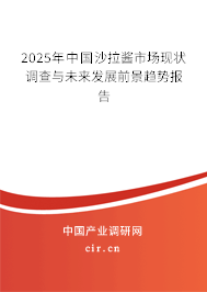 2025年中國沙拉醬市場現(xiàn)狀調(diào)查與未來發(fā)展前景趨勢報告