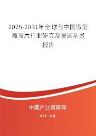 2025-2031年全球與中國微型蓋玻片行業(yè)研究及發(fā)展前景報告 2025-2031年全球與中國微型蓋玻片行業(yè)研究及發(fā)展前景報告
