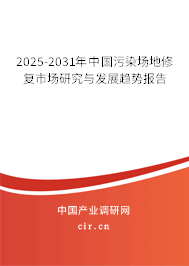 2025-2031年中國(guó)污染場(chǎng)地修復(fù)市場(chǎng)研究與發(fā)展趨勢(shì)報(bào)告