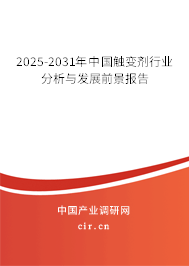 2025-2031年中國觸變劑行業(yè)分析與發(fā)展前景報告