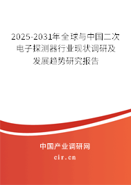2025-2031年全球與中國二次電子探測器行業(yè)現(xiàn)狀調(diào)研及發(fā)展趨勢研究報告
