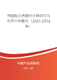 中國極壓抗磨劑市場(chǎng)研究與前景分析報(bào)告（2025-2031年）