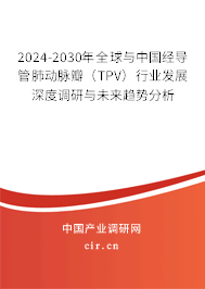 2024-2030年全球與中國經(jīng)導管肺動脈瓣(TPV)行業(yè)發(fā)展深度調(diào)研與未來趨勢分析 2024-2030年全球與中國經(jīng)導管肺動脈瓣(TPV)行業(yè)發(fā)展深度調(diào)研與未來趨勢分析