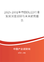 2025-2031年中國OLED行業(yè)發(fā)展深度調研與未來趨勢報告