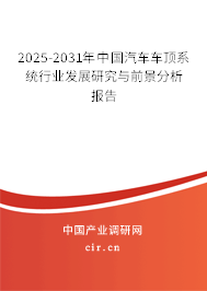 2025-2031年中國(guó)汽車車頂系統(tǒng)行業(yè)發(fā)展研究與前景分析報(bào)告