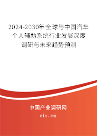 2024-2030年全球與中國(guó)汽車個(gè)人輔助系統(tǒng)行業(yè)發(fā)展深度調(diào)研與未來(lái)趨勢(shì)預(yù)測(cè)
