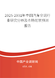 2025-2031年中國汽車空調(diào)行業(yè)研究分析及市場前景預(yù)測報告