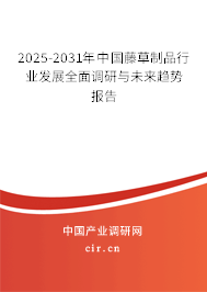 2025-2031年中國藤草制品行業(yè)發(fā)展全面調(diào)研與未來趨勢報告