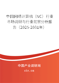 中國網(wǎng)絡(luò)計算機（NC）行業(yè)市場調(diào)研與行業(yè)前景分析報告（2025-2031年）