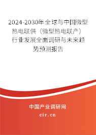 2024-2030年全球與中國微型熱電聯(lián)供（微型熱電聯(lián)產(chǎn)）行業(yè)發(fā)展全面調(diào)研與未來趨勢預(yù)測報(bào)告