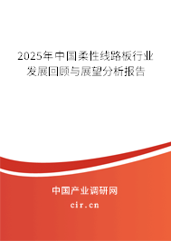 2024年中國柔性線路板行業(yè)發(fā)展回顧與展望分析報(bào)告 2024年中國柔性線路板行業(yè)發(fā)展回顧與展望分析報(bào)告