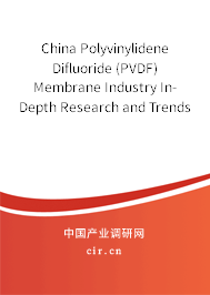 China Polyvinylidene Difluoride (PVDF) Membrane Industry In-Depth Research and Trends Report 2021-2027