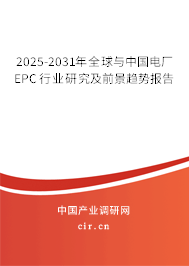 2025-2031年全球與中國電廠EPC行業(yè)研究及前景趨勢報告