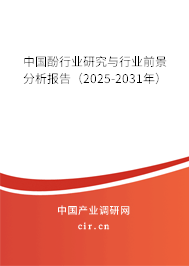 中國(guó)酚行業(yè)研究與行業(yè)前景分析報(bào)告（2025-2031年）