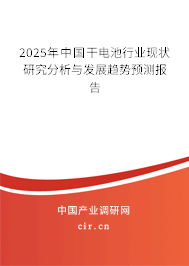 2025年中國(guó)干電池行業(yè)現(xiàn)狀研究分析與發(fā)展趨勢(shì)預(yù)測(cè)報(bào)告 2025年中國(guó)干電池行業(yè)現(xiàn)狀研究分析與發(fā)展趨勢(shì)預(yù)測(cè)報(bào)告