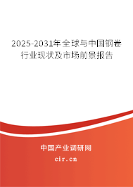 2025-2031年全球與中國鋼卷行業(yè)現(xiàn)狀及市場前景報告