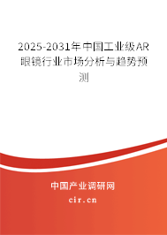 2025-2031年中國(guó)工業(yè)級(jí)AR眼鏡行業(yè)市場(chǎng)分析與趨勢(shì)預(yù)測(cè) 2025-2031年中國(guó)工業(yè)級(jí)AR眼鏡行業(yè)市場(chǎng)分析與趨勢(shì)預(yù)測(cè)