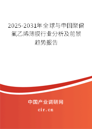 2025-2031年全球與中國(guó)聚偏氟乙烯薄膜行業(yè)分析及前景趨勢(shì)報(bào)告