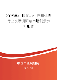 2025年中國熱力生產(chǎn)和供應(yīng)行業(yè)發(fā)展調(diào)研與市場前景分析報(bào)告