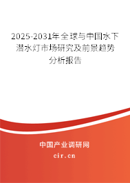 2025-2031年全球與中國水下潛水燈市場研究及前景趨勢分析報告 2025-2031年全球與中國水下潛水燈市場研究及前景趨勢分析報告