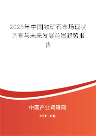 2025年中國鐵礦石市場現(xiàn)狀調查與未來發(fā)展前景趨勢報告