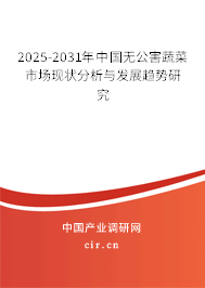2025-2031年中國無公害蔬菜市場現(xiàn)狀分析與發(fā)展趨勢研究